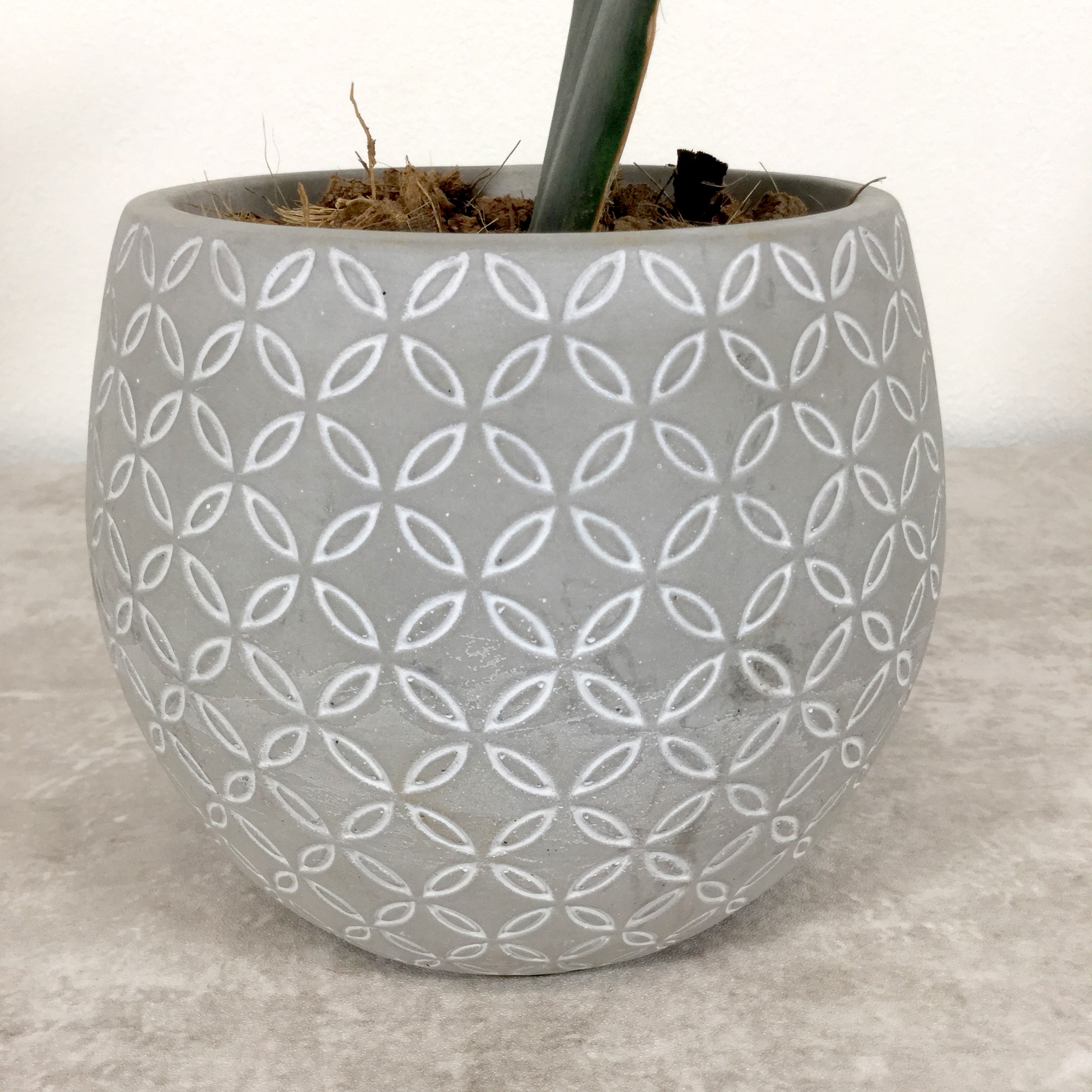 植木鉢