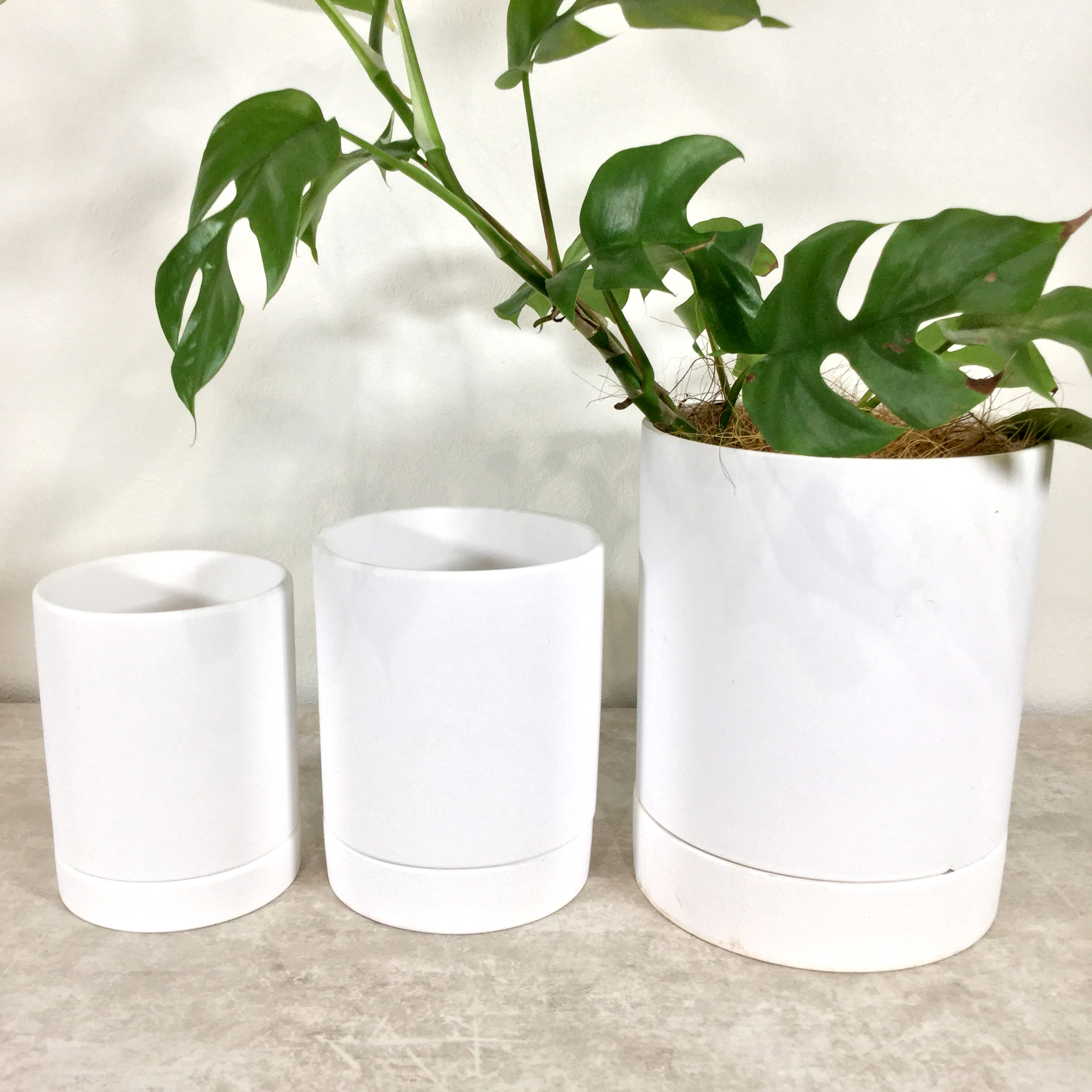 植木鉢（丸型）（小）（中）（大）比較