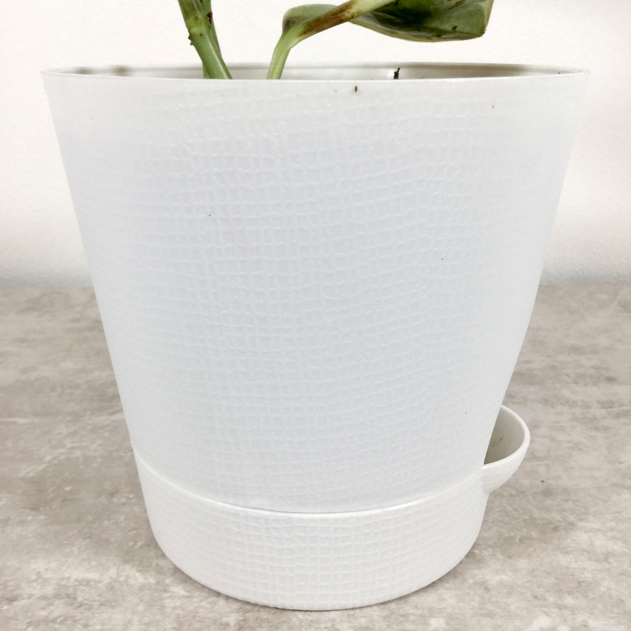 植木鉢（水だし）