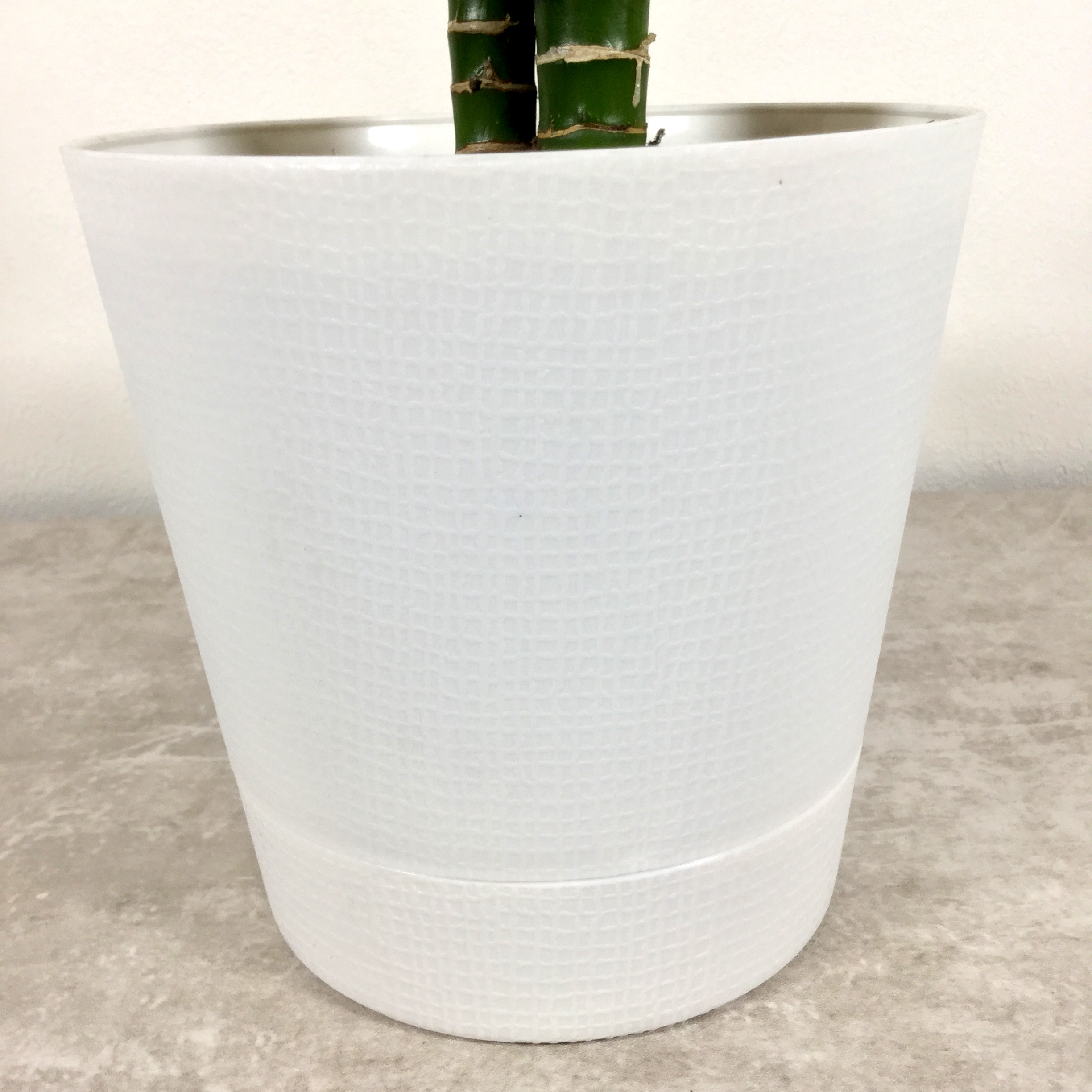植木鉢