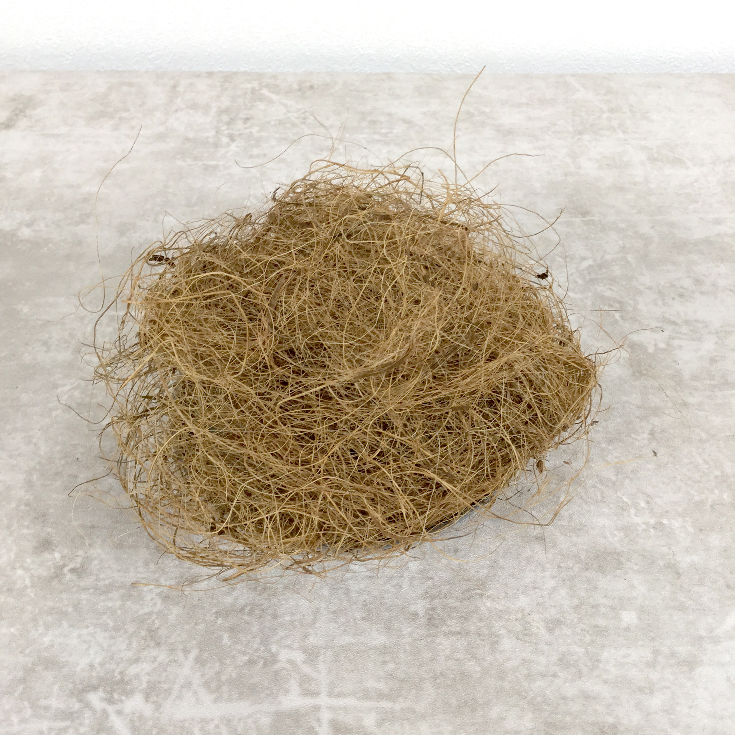 ココヤシ繊維（10ｇ）